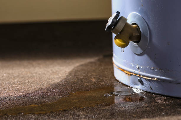 Best 24-hour water damage restoration  in Ivanhoe, TX
