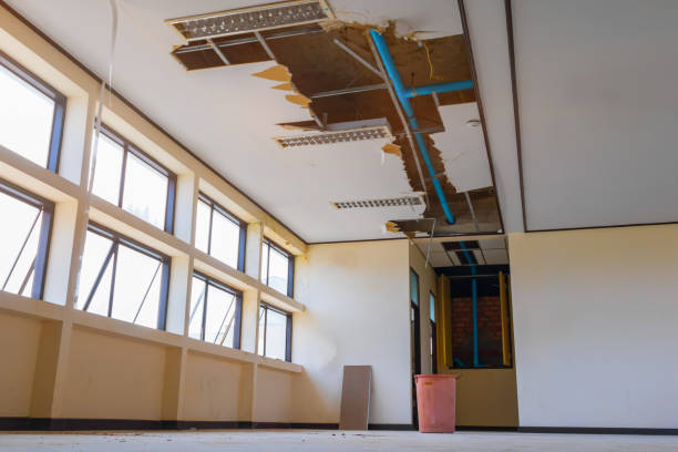 Best Water damage cleanup near me  in Ivanhoe, TX