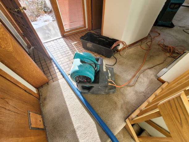 Best Professional water damage repair  in Ivanhoe, TX