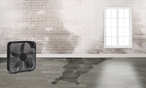 Water damage restoration experts in Ivanhoe, TX