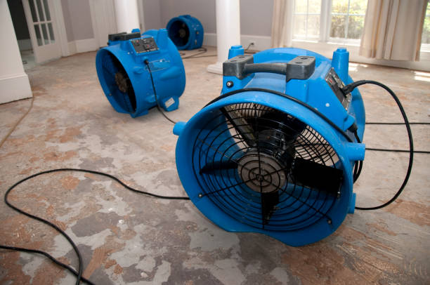 Best 24/7 water damage repair  in Ivanhoe, TX