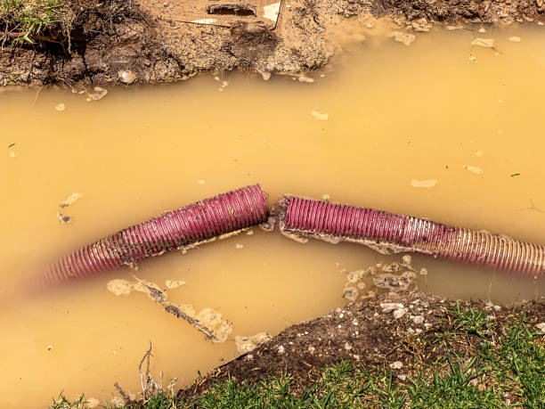 Best Emergency water damage restoration  in Ivanhoe, TX